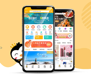赣州IOS APP定制开发拼团电商系统构建最好的软件，让您的业务站在顶峰【更快更高效，现在购买更实惠】