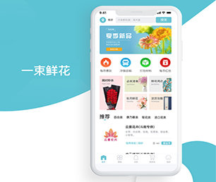 赣州小程序开发基础电商系统发挥你的潜力，我们为你提供强有力的支持【专业技术，享受特惠】